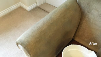 Permalink to: Upholstery Cleaning